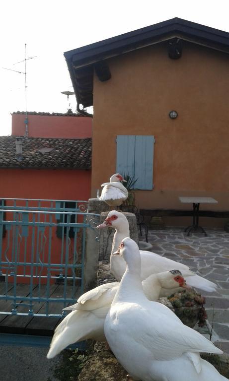 Agriturismo Il Gelso * Traversetolo
